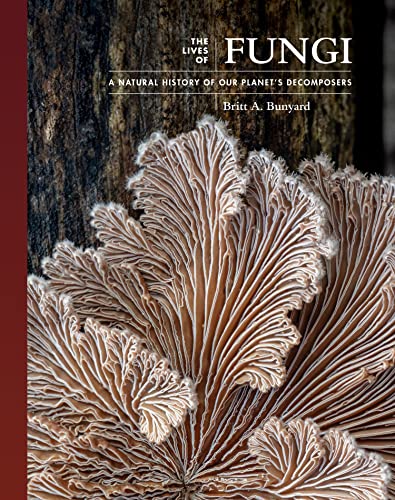 LIVES OF FUNGI THE Brumby Sunstate